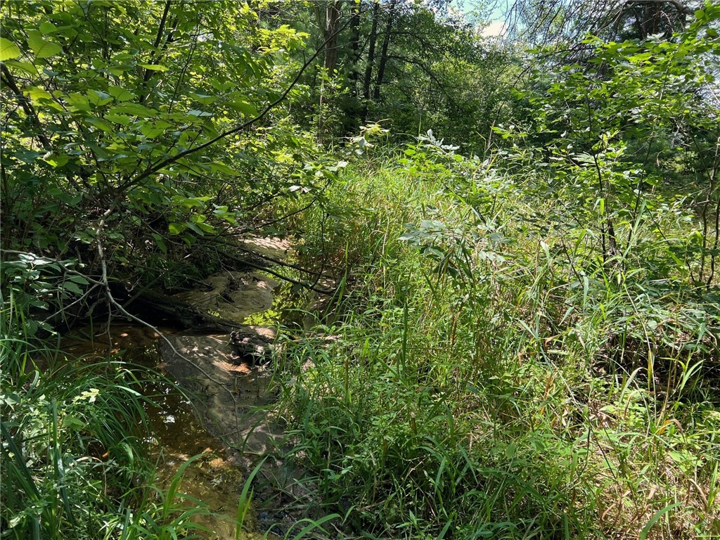 Land at TBD State Highway 12/27, Fairchild, WI 54741 — photo 20