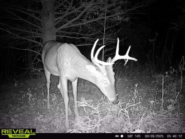 Land at TBD State Highway 12/27, Fairchild, WI 54741 — photo 3