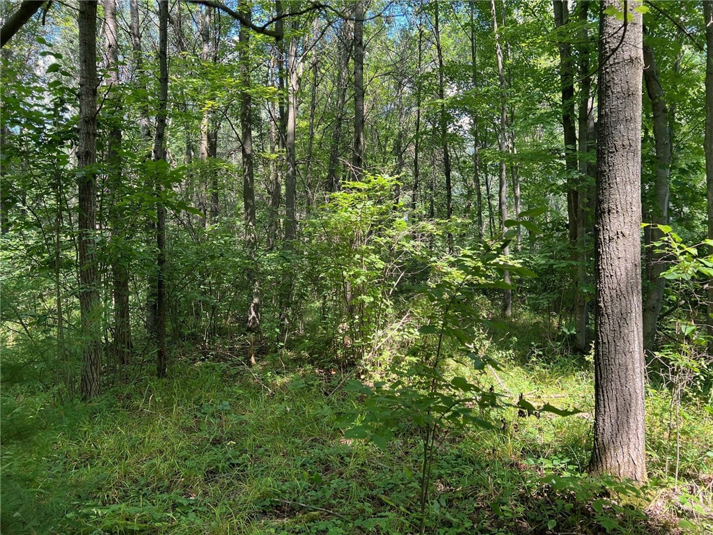 Land at TBD State Highway 12/27, Fairchild, WI 54741 — photo 23