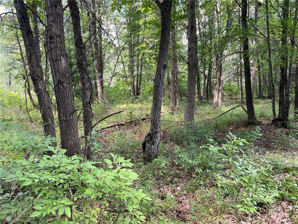 Land at TBD State Highway 12/27, Fairchild, WI 54741 — photo 25