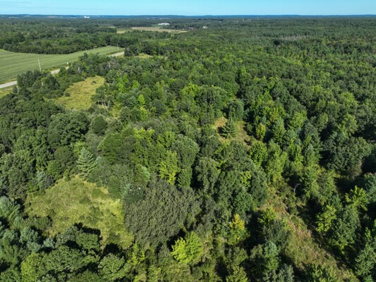 Land at TBD State Highway 12/27, Fairchild, WI 54741 — photo 26