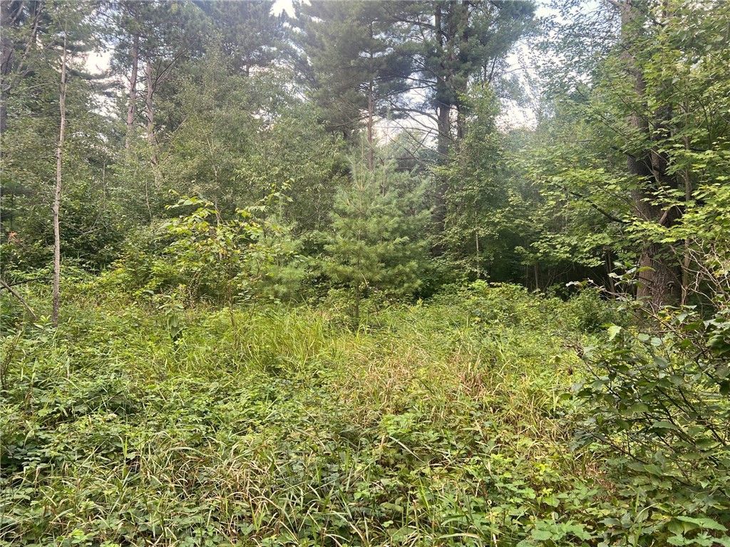 Land at TBD State Highway 12/27, Fairchild, WI 54741 — photo 27