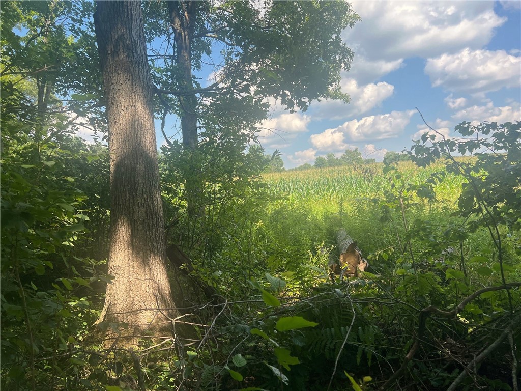 Land at TBD State Highway 12/27, Fairchild, WI 54741 — photo 29