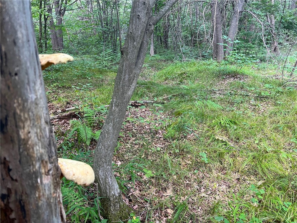 Land at TBD State Highway 12/27, Fairchild, WI 54741 — photo 30