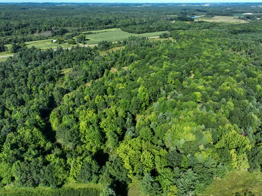 Land at TBD State Highway 12/27, Fairchild, WI 54741 — photo 31