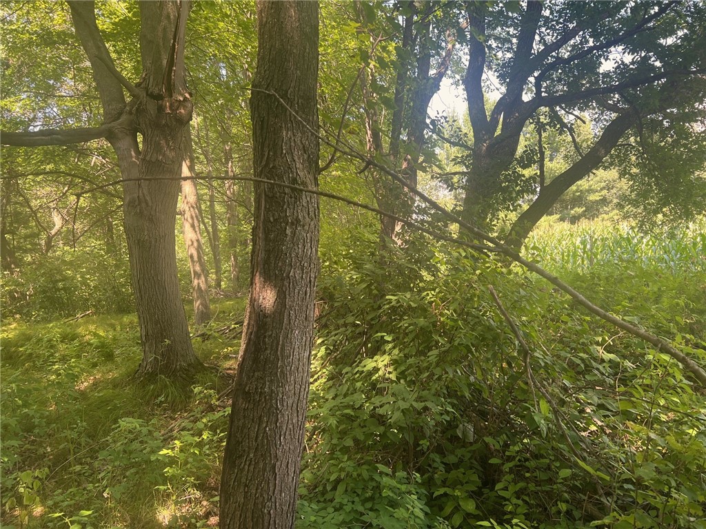 Land at TBD State Highway 12/27, Fairchild, WI 54741 — photo 32