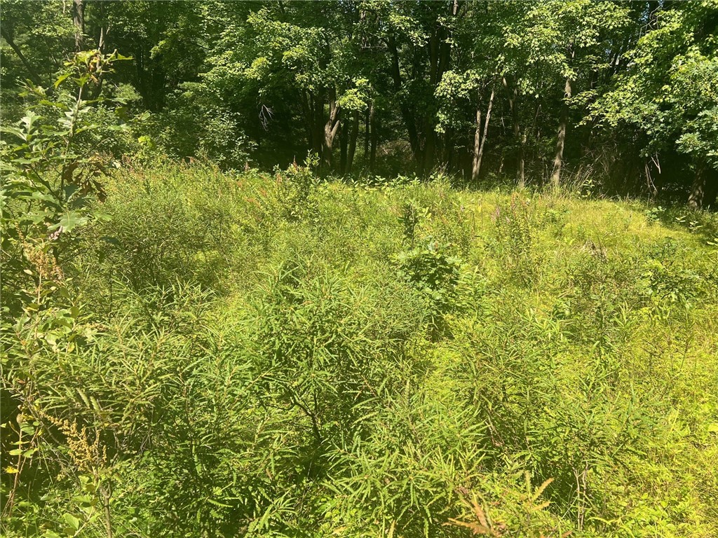 Land at TBD State Highway 12/27, Fairchild, WI 54741 — photo 33