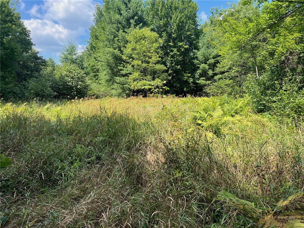 Land at TBD State Highway 12/27, Fairchild, WI 54741 — photo 35