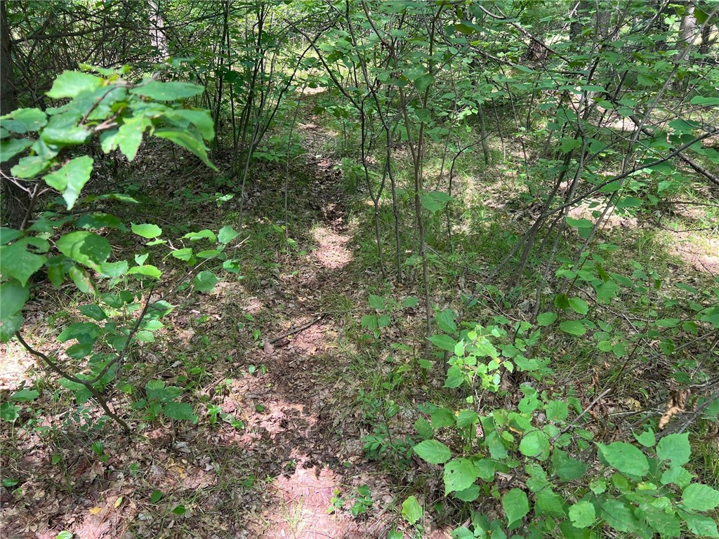 Land at TBD State Highway 12/27, Fairchild, WI 54741 — photo 36