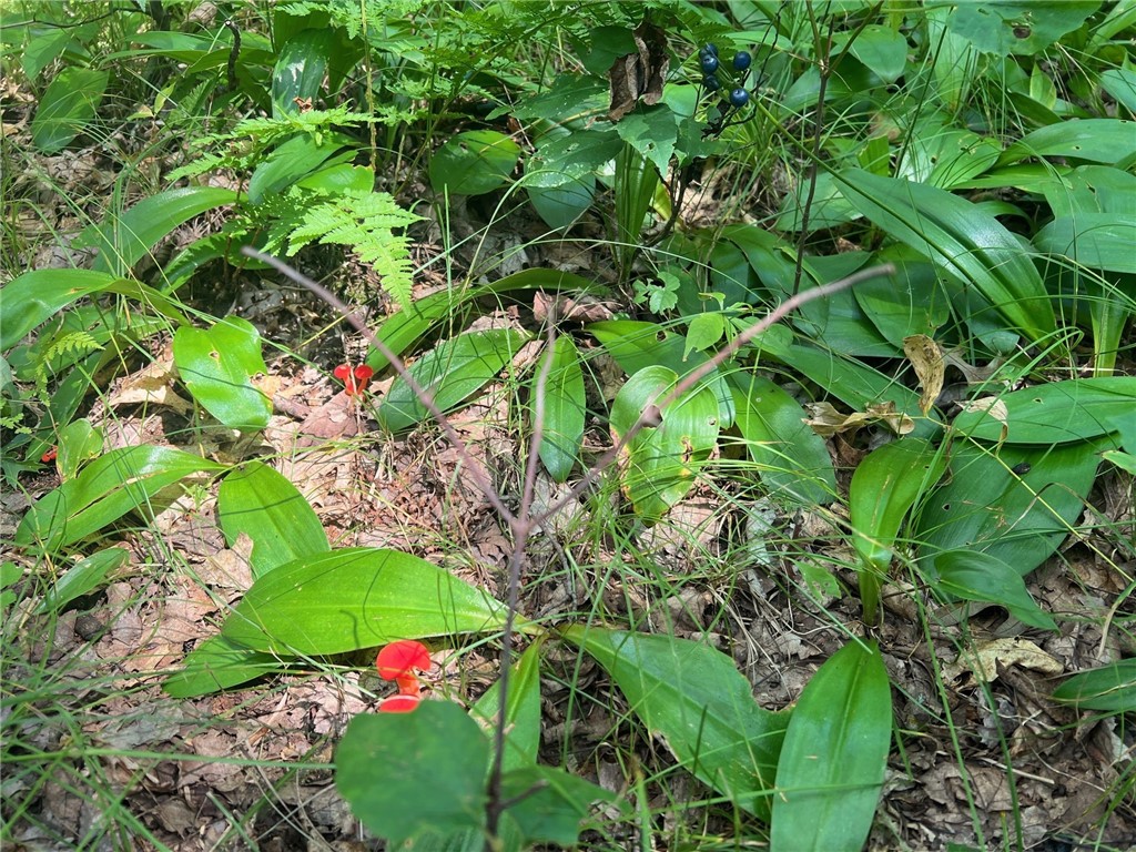 Land at TBD State Highway 12/27, Fairchild, WI 54741 — photo 38