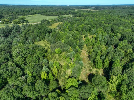 Land at TBD State Highway 12/27, Fairchild, WI 54741 — photo 39