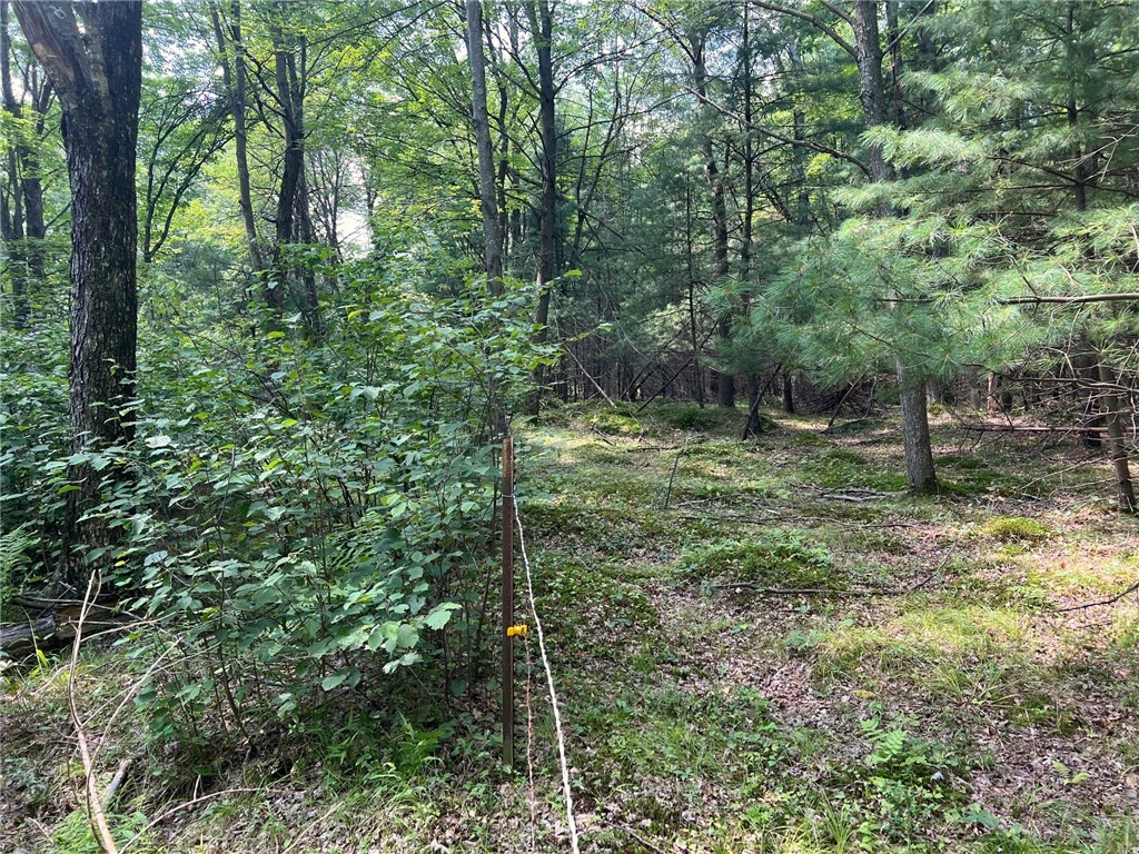 Land at TBD State Highway 12/27, Fairchild, WI 54741 — photo 40