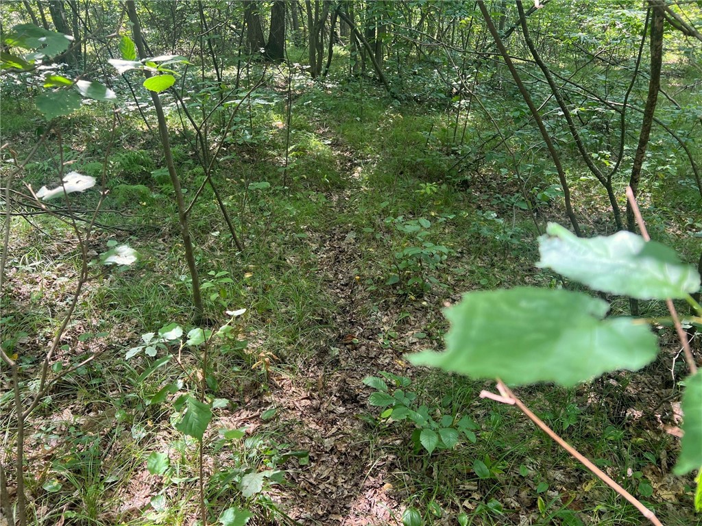 Land at TBD State Highway 12/27, Fairchild, WI 54741 — photo 42
