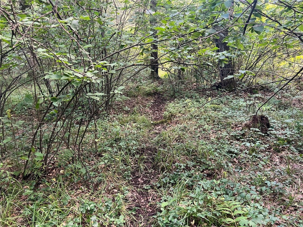 Land at TBD State Highway 12/27, Fairchild, WI 54741 — photo 47