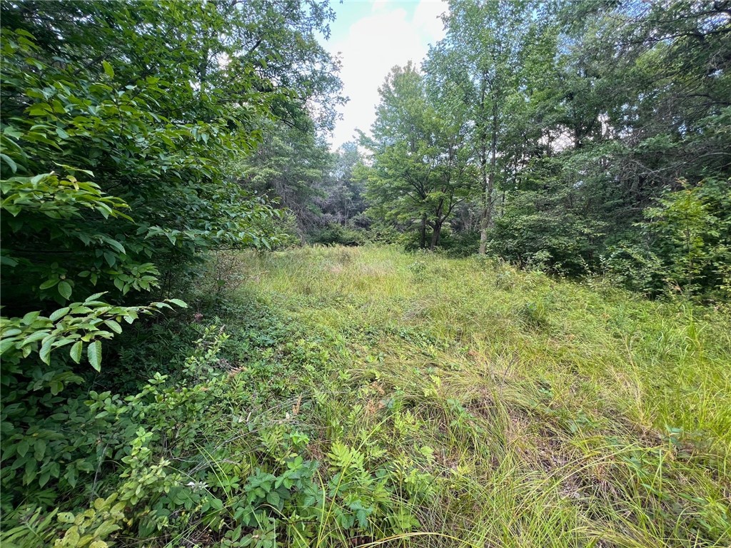 Land at TBD State Highway 12/27, Fairchild, WI 54741 — photo 49