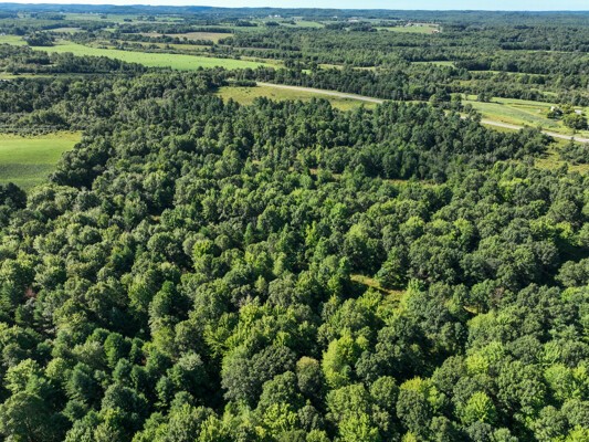 Land at TBD State Highway 12/27, Fairchild, WI 54741 — photo 6