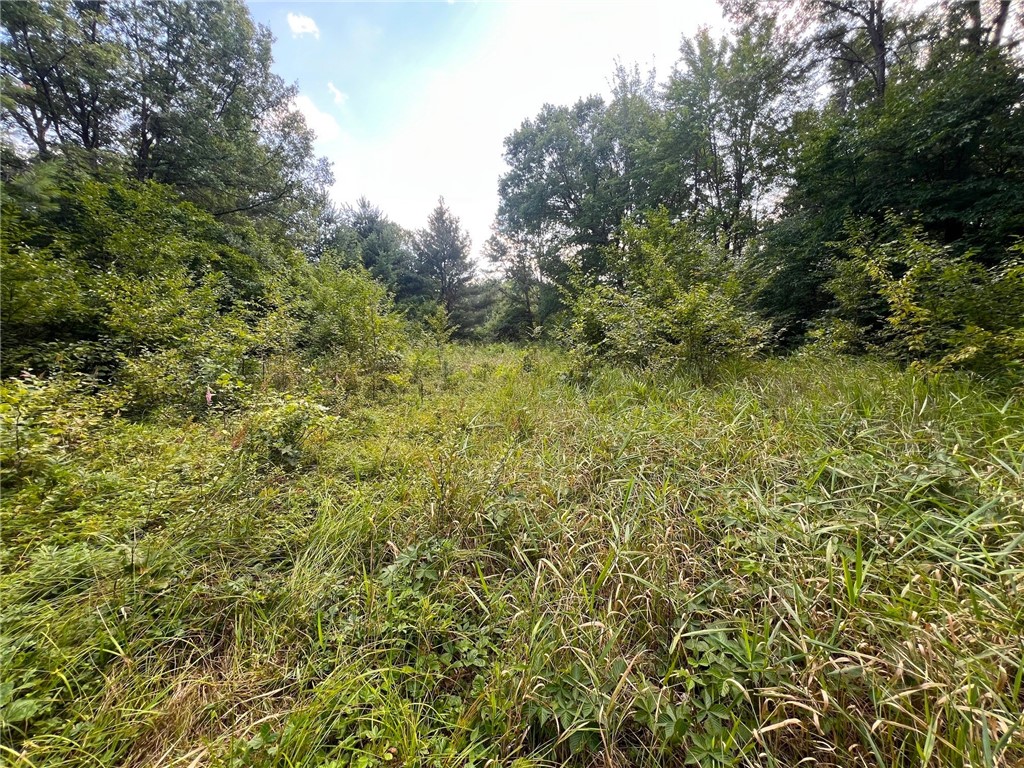 Land at TBD State Highway 12/27, Fairchild, WI 54741 — photo 51
