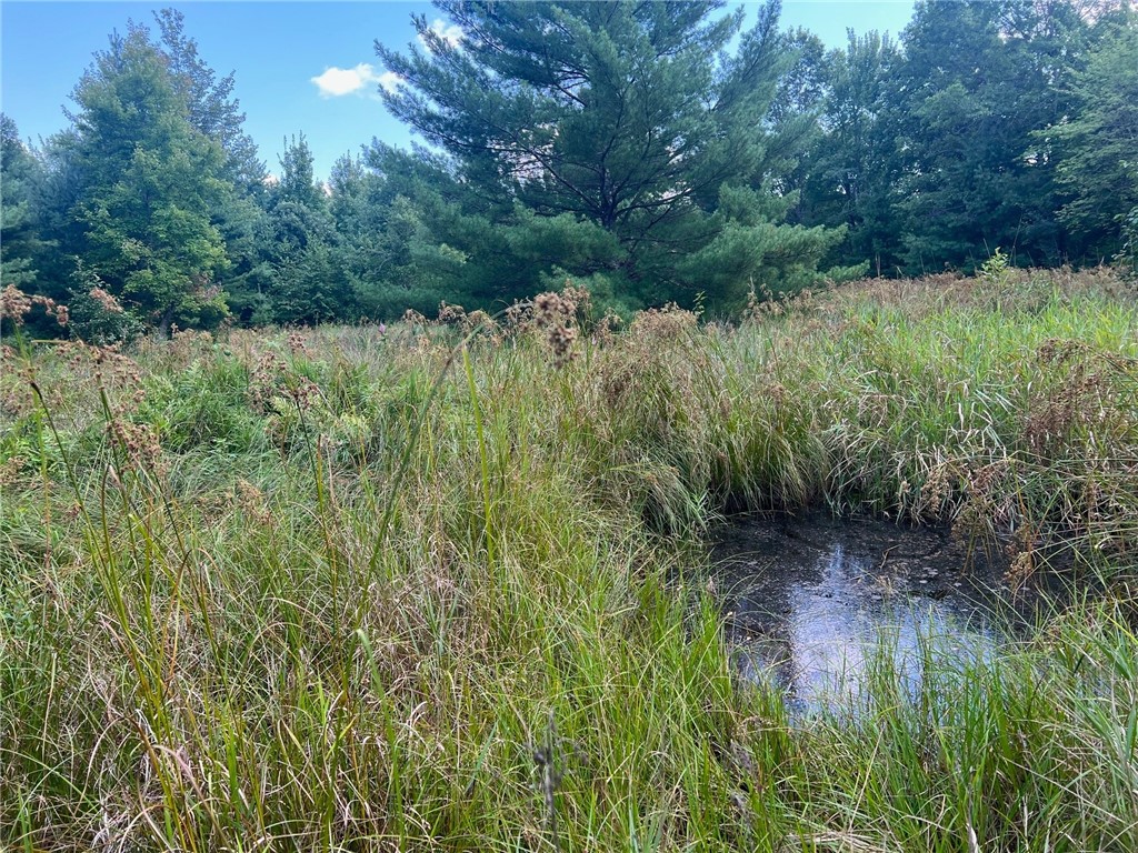 Land at TBD State Highway 12/27, Fairchild, WI 54741 — photo 52