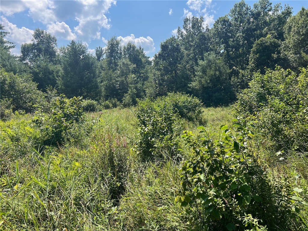 Land at TBD State Highway 12/27, Fairchild, WI 54741 — photo 53