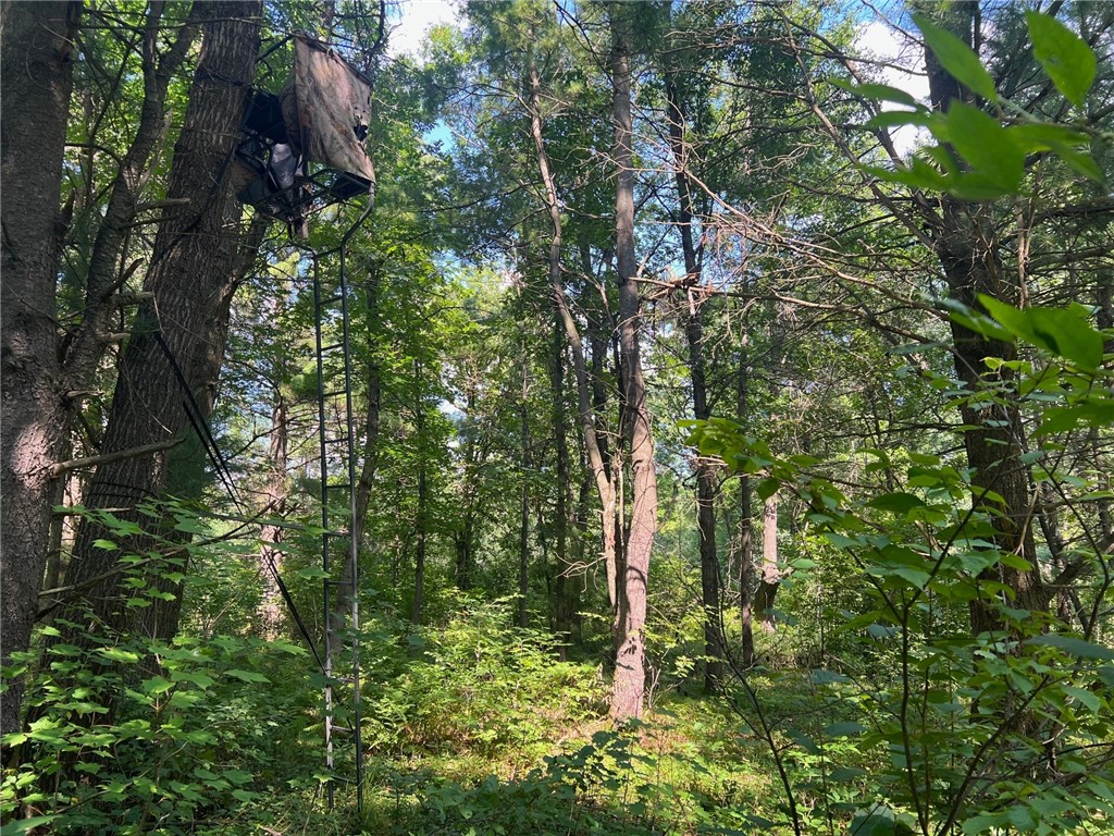 Land at TBD State Highway 12/27, Fairchild, WI 54741 — photo 54