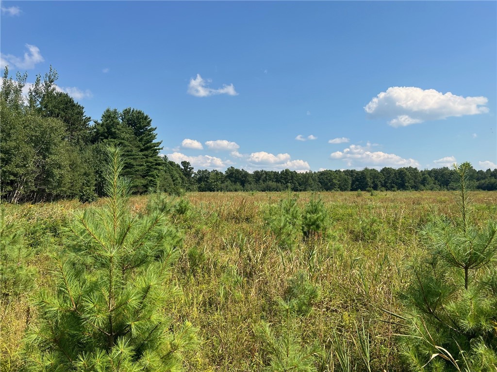 Land at TBD State Highway 12/27, Fairchild, WI 54741 — photo 56
