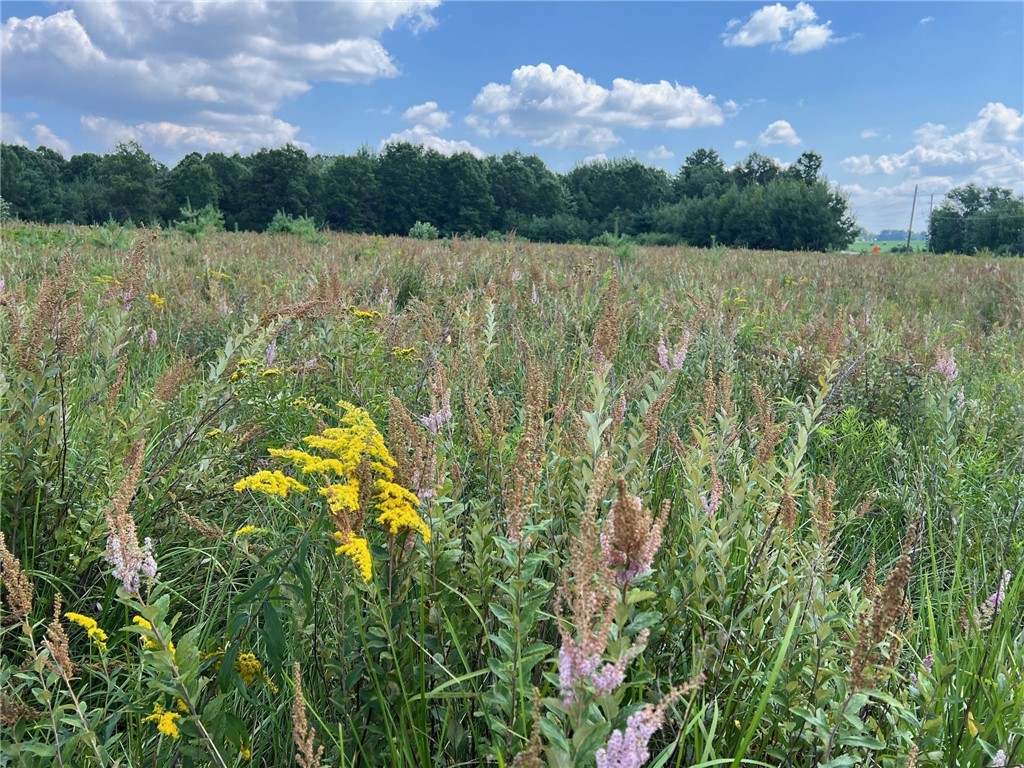 Land at TBD State Highway 12/27, Fairchild, WI 54741 — photo 9