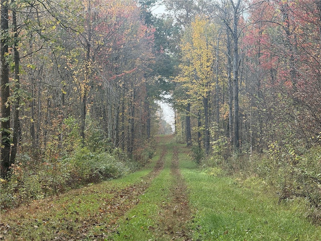 Land at TBD State Road 40, Exeland, WI 54835 — photo 13
