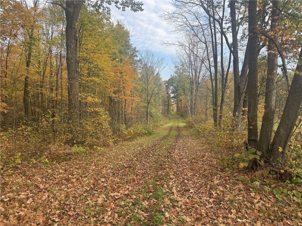 Land at TBD State Road 40, Exeland, WI 54835 — photo 16