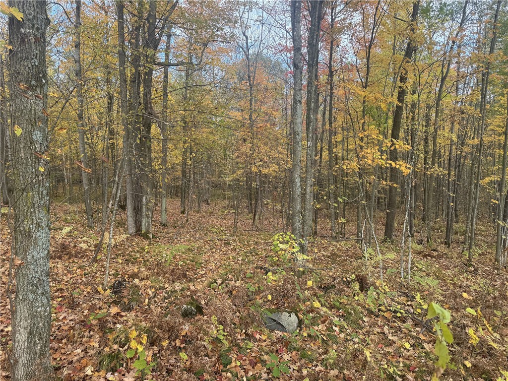 Land at TBD State Road 40, Exeland, WI 54835 — photo 17