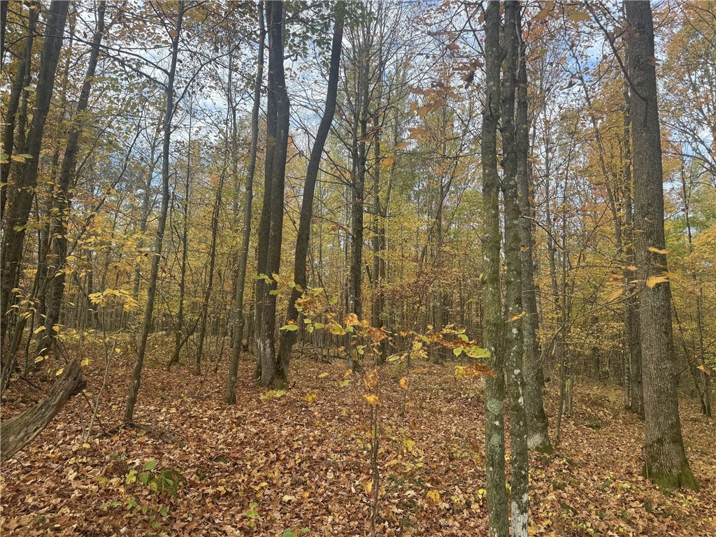 Land at TBD State Road 40, Exeland, WI 54835 — photo 18