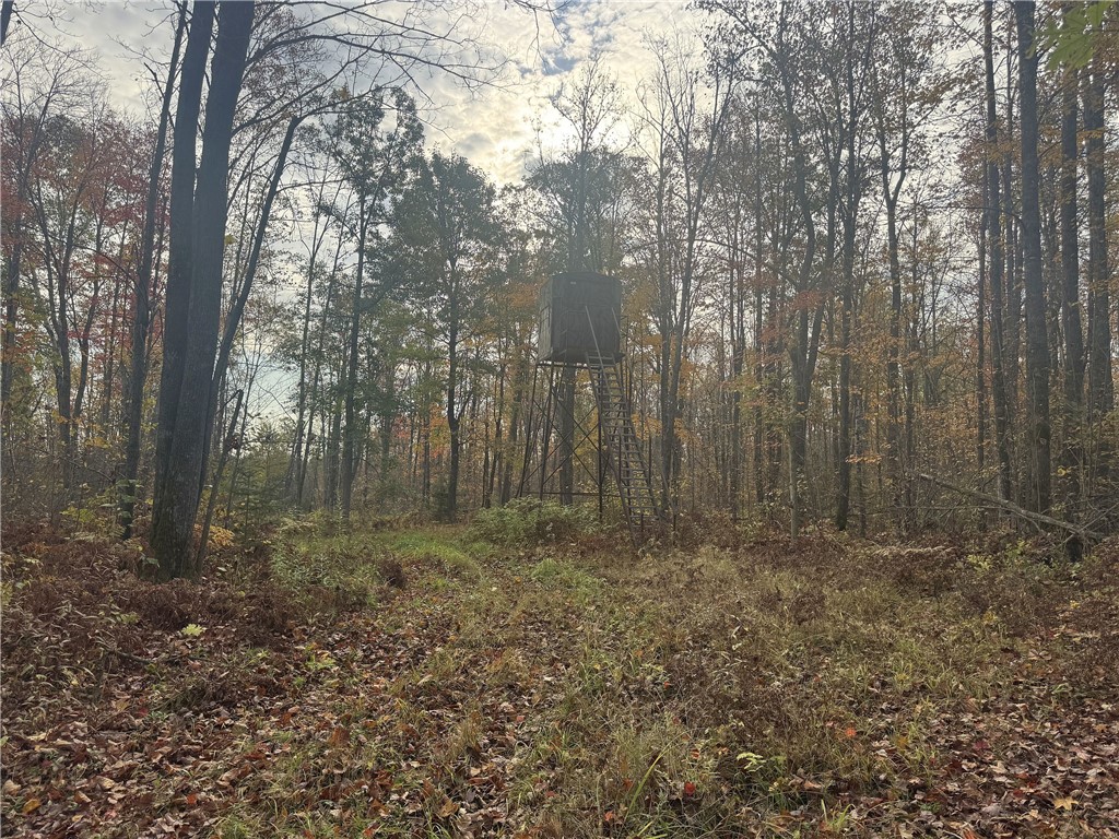 Land at TBD State Road 40, Exeland, WI 54835 — photo 20
