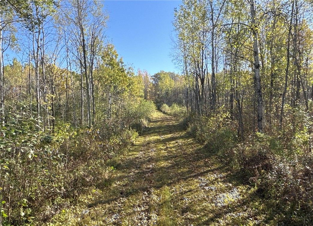Land at TBD State Road 40, Exeland, WI 54835 — photo 22