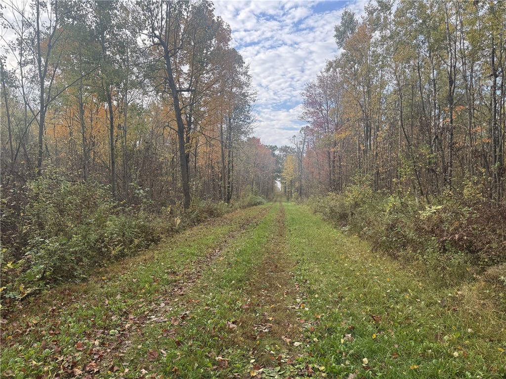 Land at TBD State Road 40, Exeland, WI 54835 — photo 4