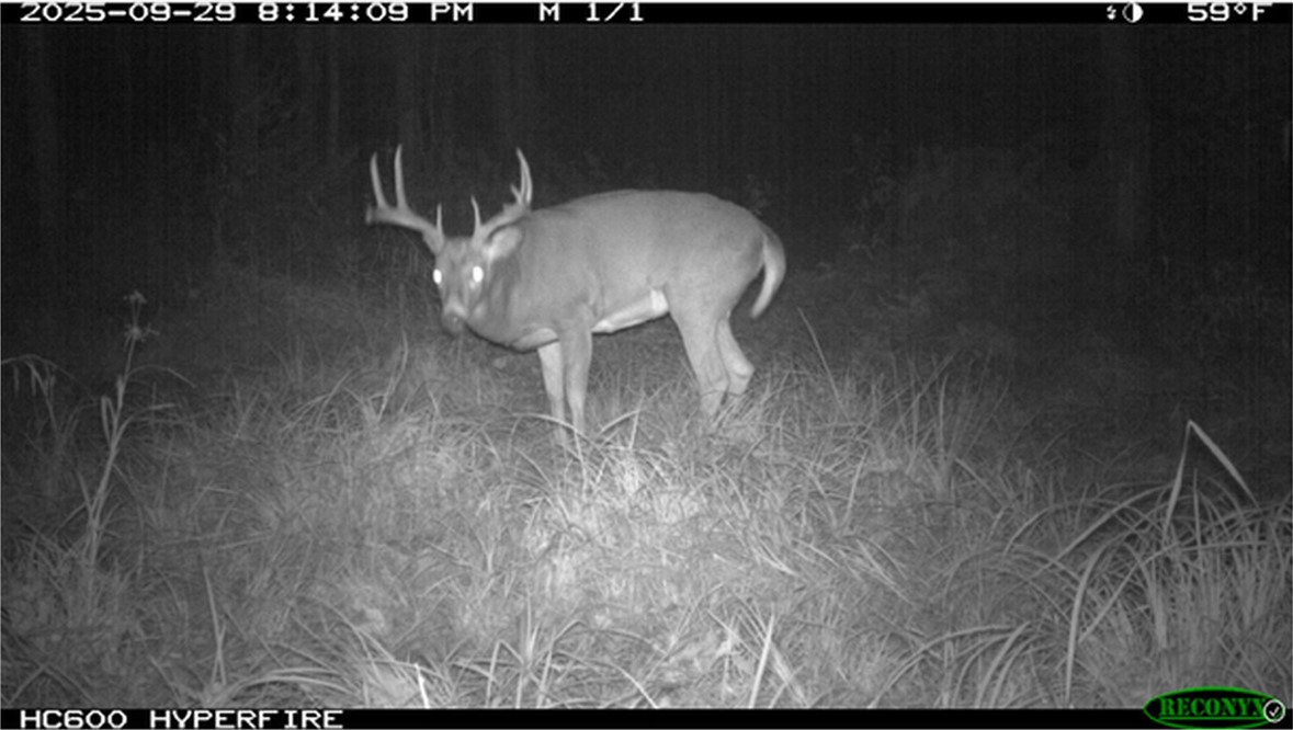 Land at TBD State Road 40, Exeland, WI 54835 — photo 36