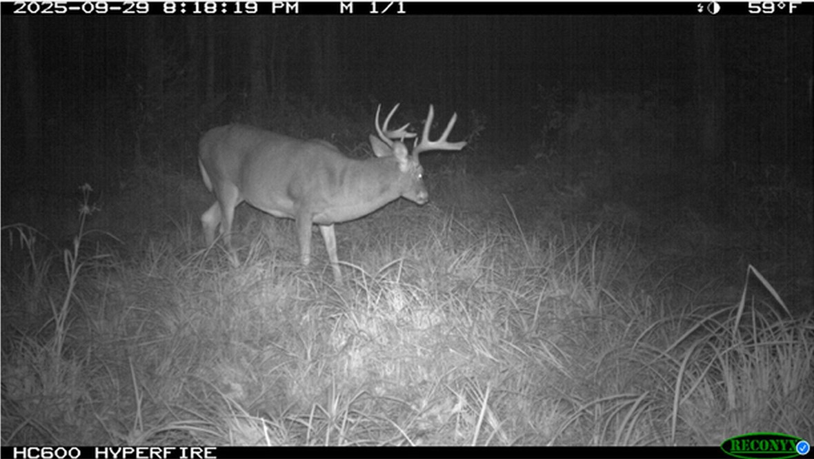 Land at TBD State Road 40, Exeland, WI 54835 — photo 37