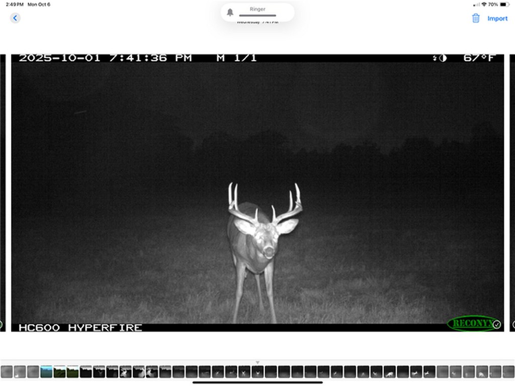 Land at TBD State Road 40, Exeland, WI 54835 — photo 38