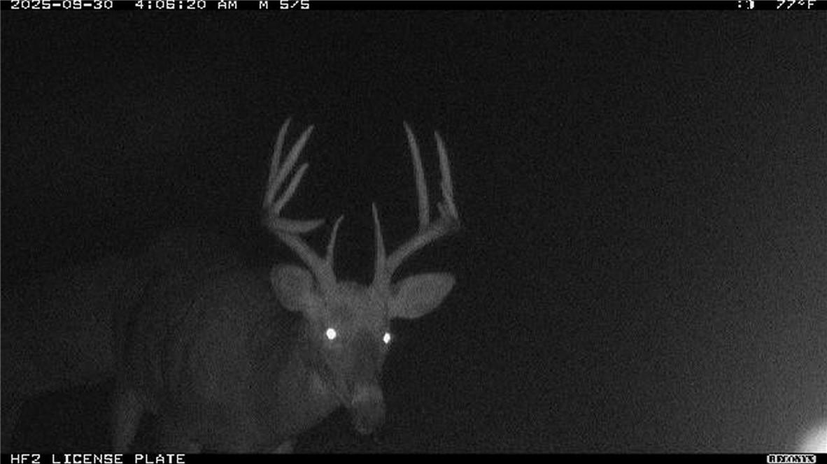 Land at TBD State Road 40, Exeland, WI 54835 — photo 39