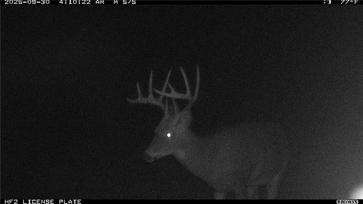 Land at TBD State Road 40, Exeland, WI 54835 — photo 40