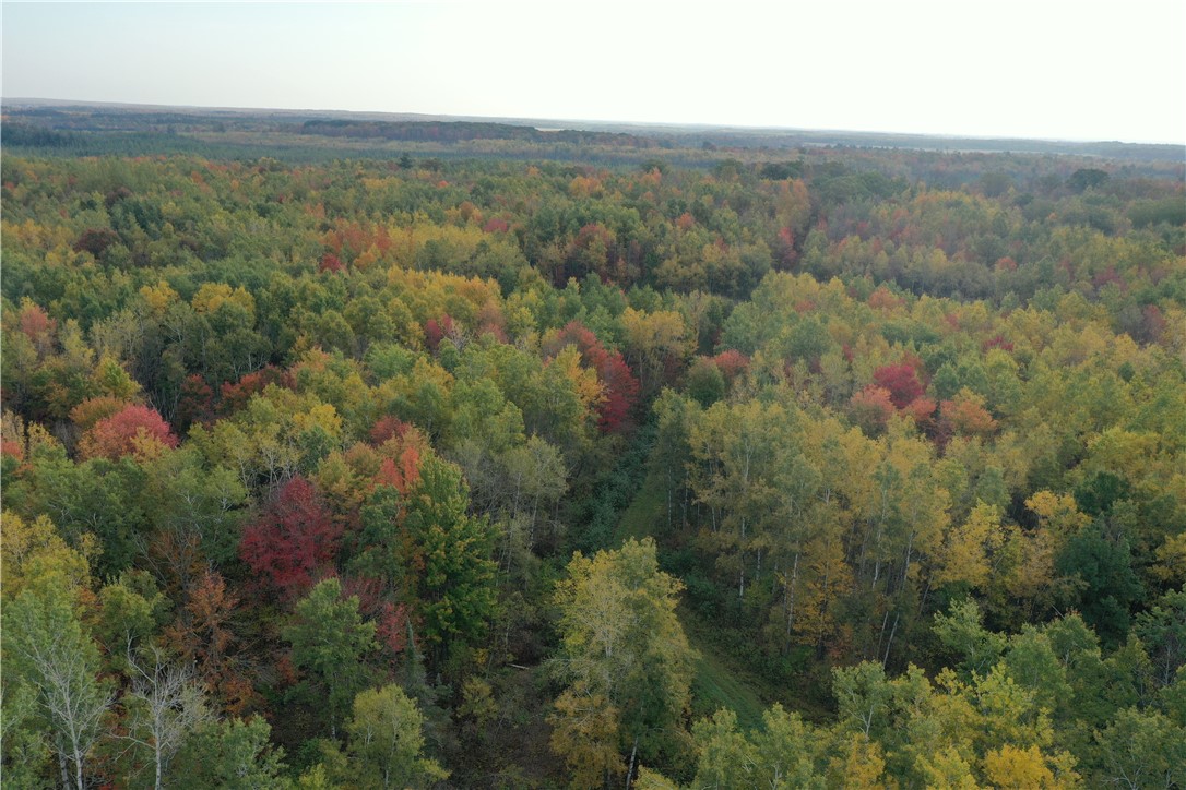 Land at TBD State Road 40, Exeland, WI 54835 — photo 5
