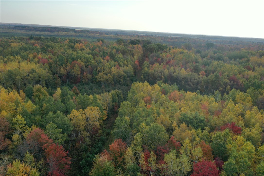 Land at TBD State Road 40, Exeland, WI 54835 — photo 7