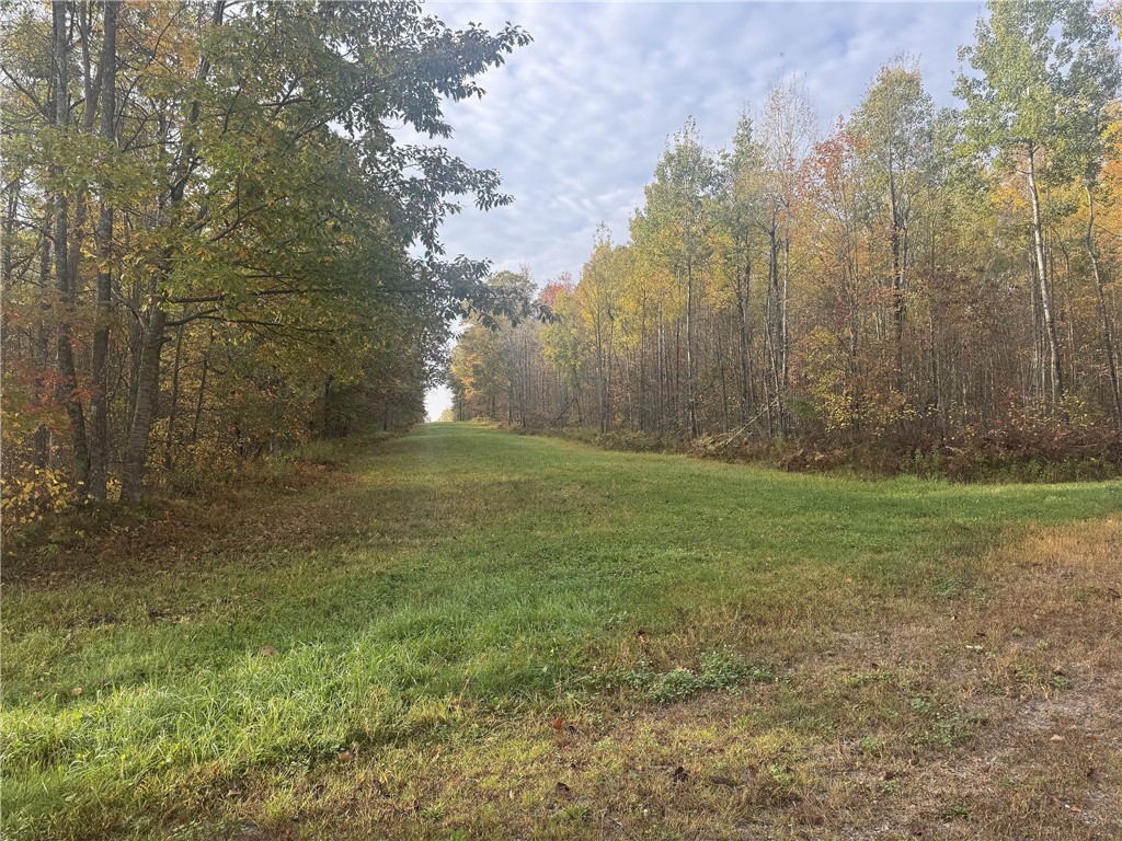 Land at TBD State Road 40, Exeland, WI 54835 — photo 8