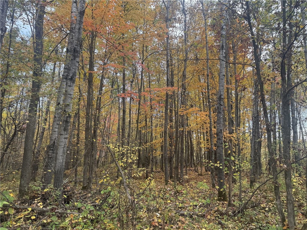 Land at TBD State Road 40, Exeland, WI 54835 — photo 10