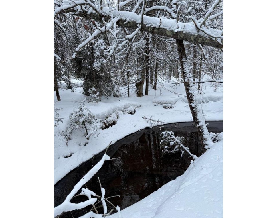 Land at TBD Wallin Road, Iron River, WI 54847 — photo 16