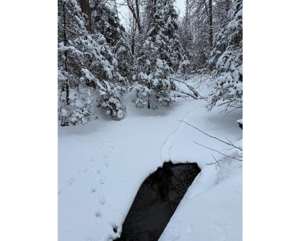 Land at TBD Wallin Road, Iron River, WI 54847 — photo 17