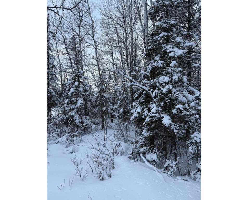 Land at TBD Wallin Road, Iron River, WI 54847 — photo 19