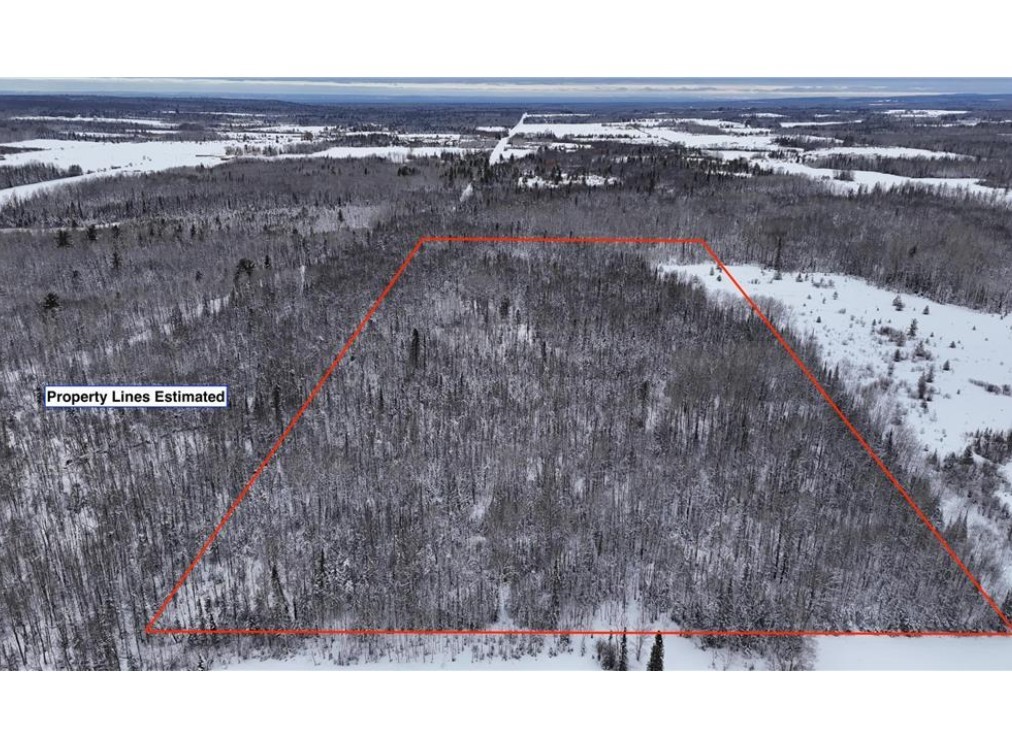 Land at TBD Wallin Road, Iron River, WI 54847 — photo 4