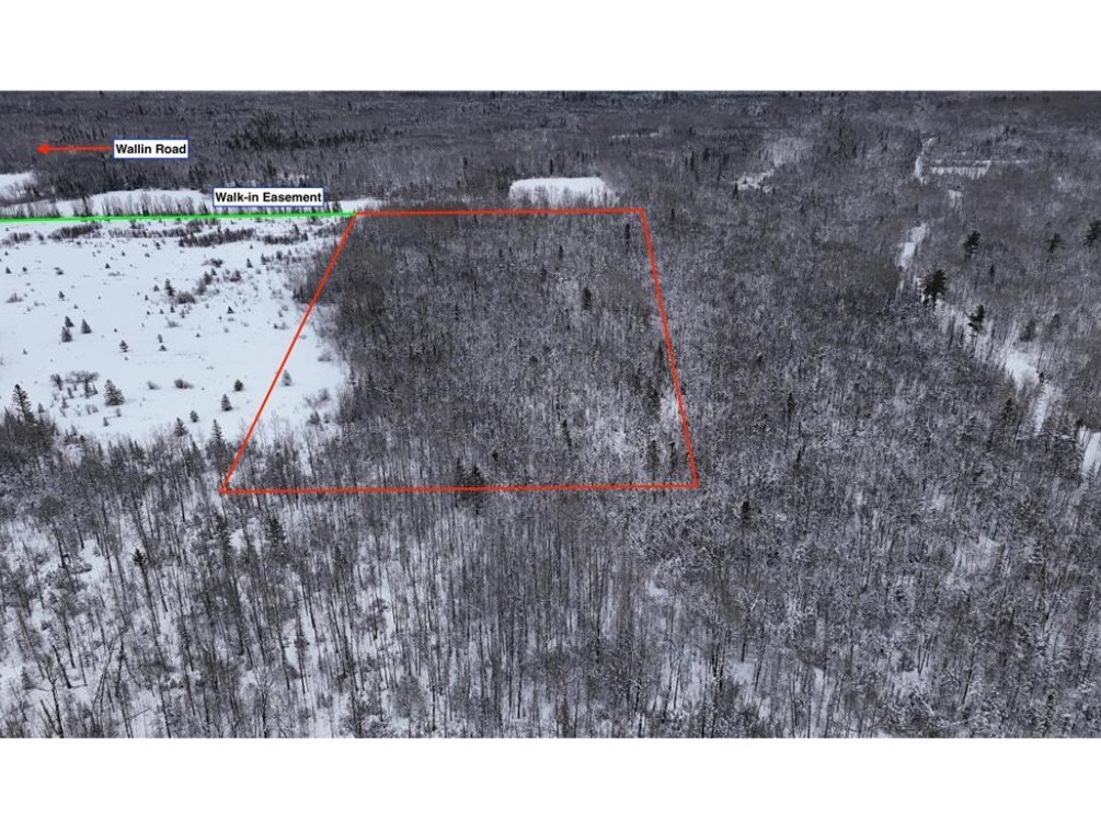 Land at TBD Wallin Road, Iron River, WI 54847 — photo 5