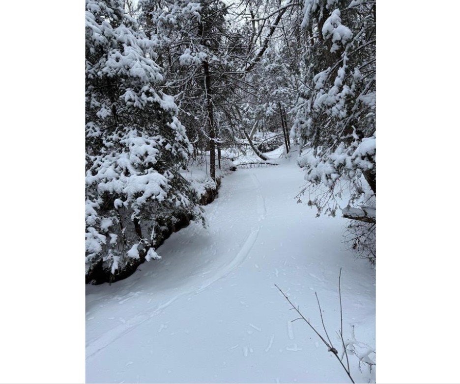 Land at TBD Wallin Road, Iron River, WI 54847 — photo 6