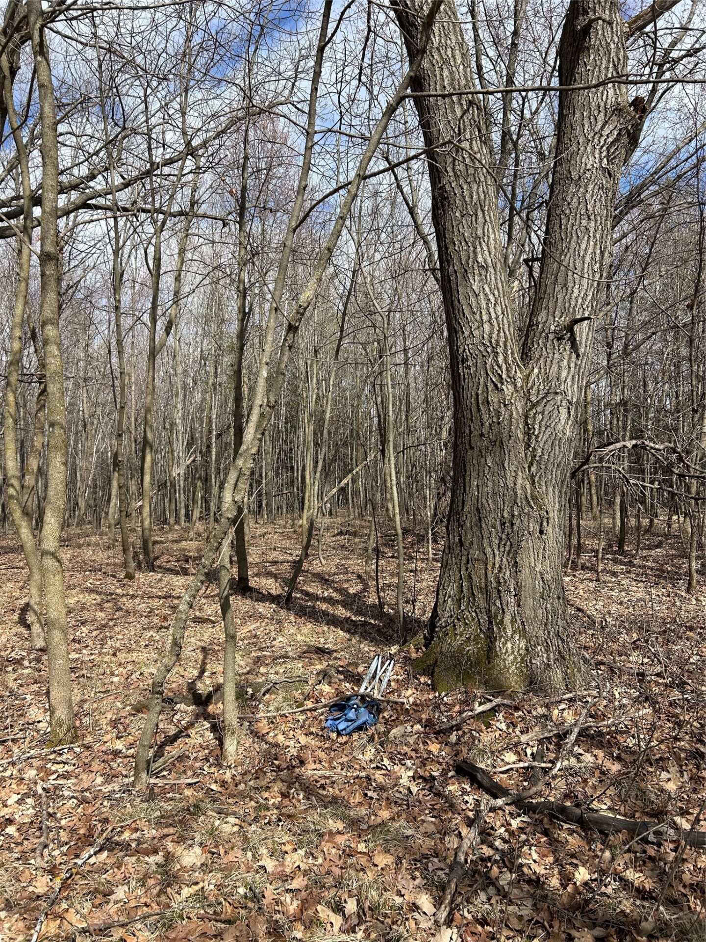 Land at Tax ID 21 Highway 63, Shell Lake, WI 54871 — photo 13