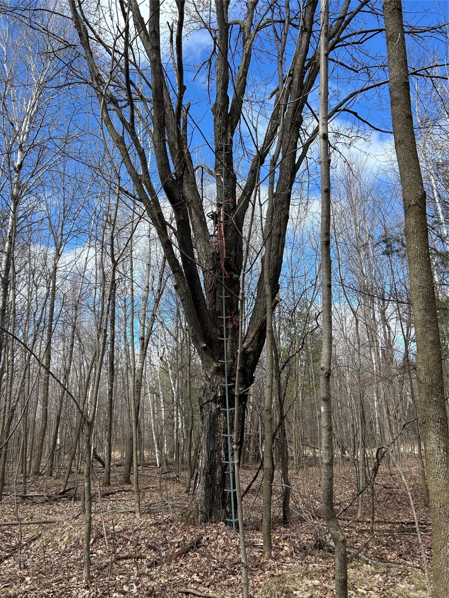 Land at Tax ID 21 Highway 63, Shell Lake, WI 54871 — photo 15